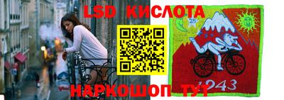шишки Тулун