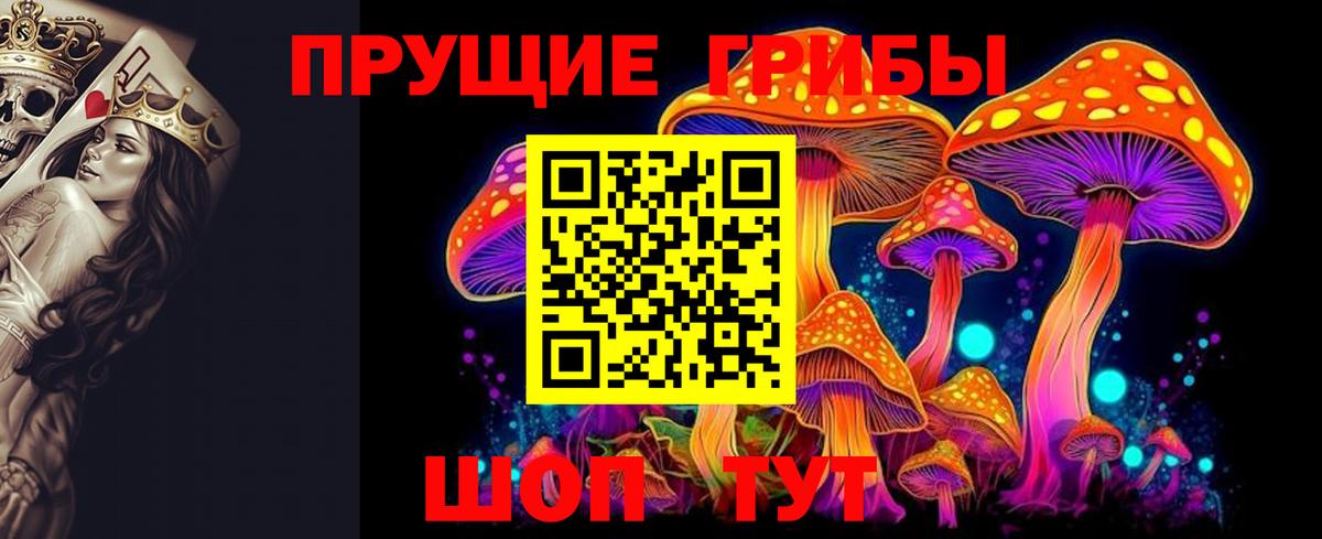 Псилоцибиновые грибы Cubensis Алексин