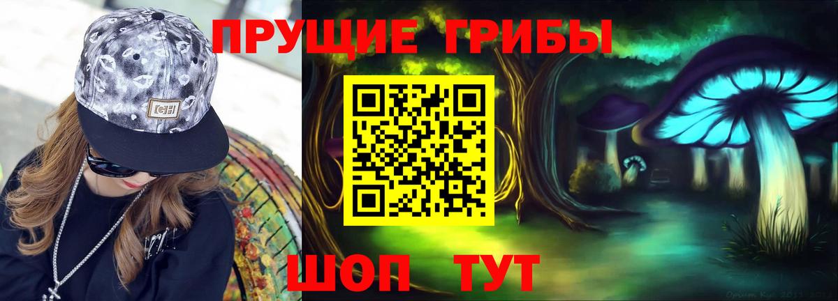 цены   Галлюциногенные грибы мицелий  Галлюциногенные грибы мицелий  Вход с VPN  Алексин 